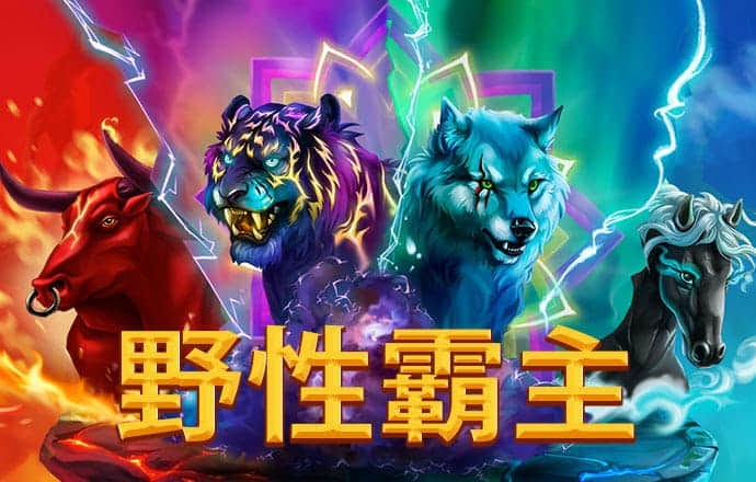 今晚必中一码一肖澳门